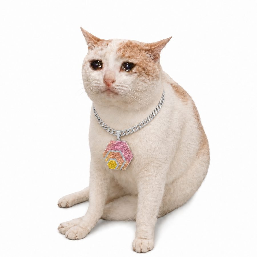 HEX CAT meme