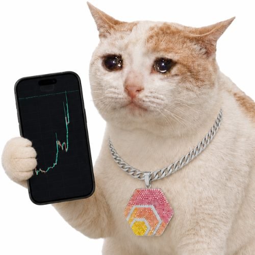 HEX CAT meme